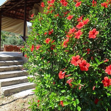 Countryside House ξενώνας Perachora Εξωτερικό φωτογραφία