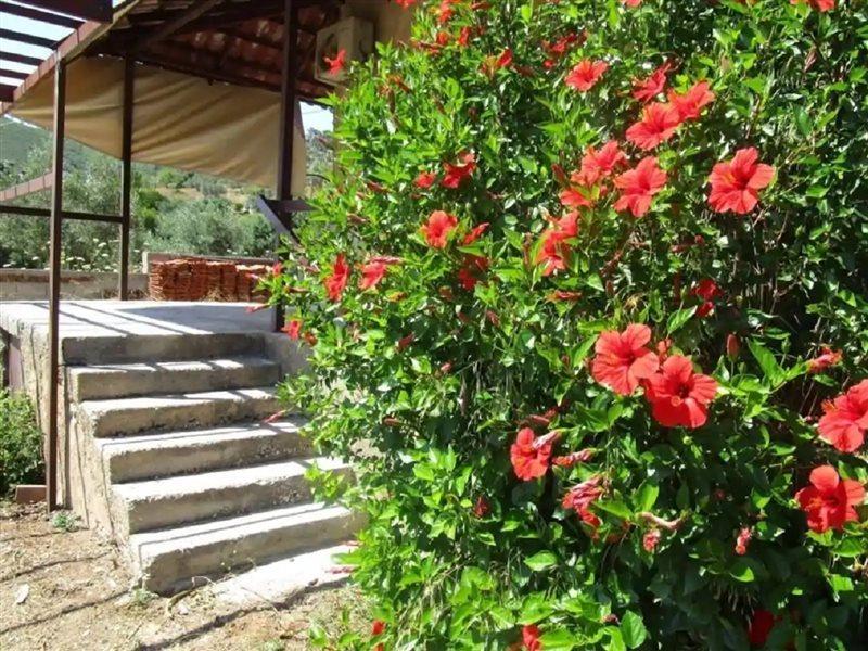 Countryside House ξενώνας Perachora Εξωτερικό φωτογραφία
